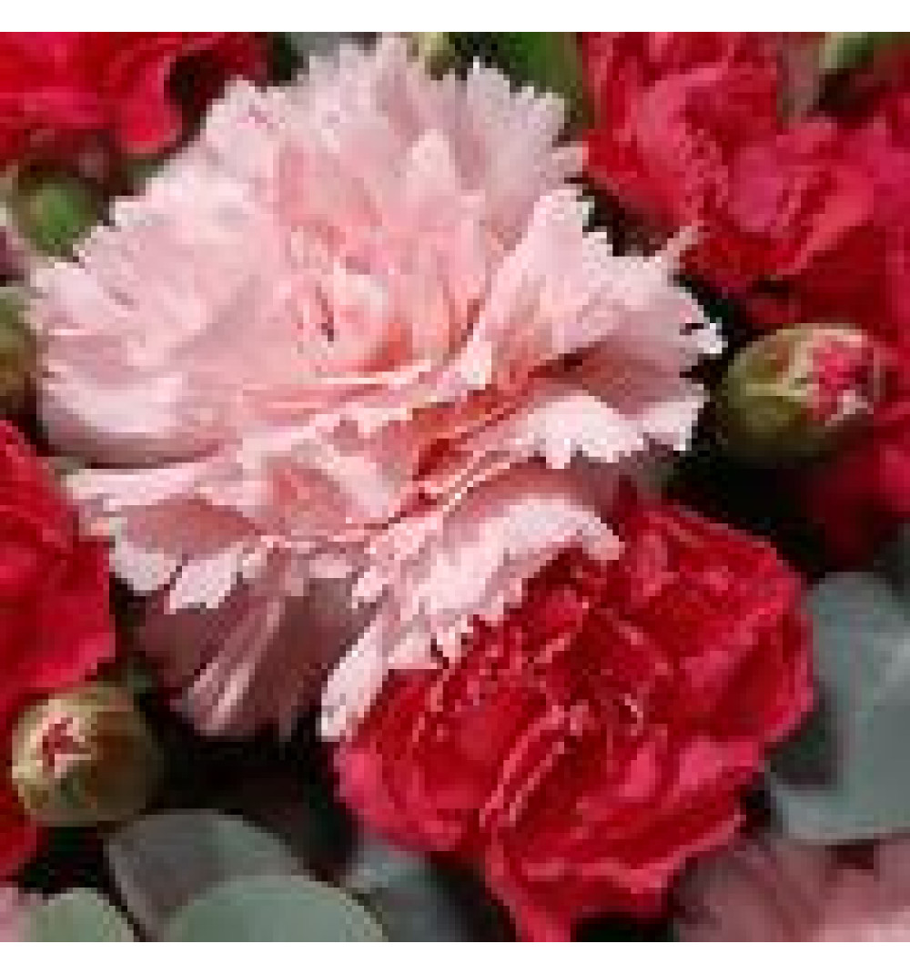 Яркая кустовая и нежно коралловая гвоздика в шляпной коробке